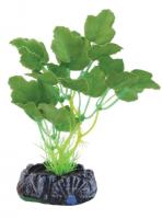 Laguna Растение шелковое "Гидрокотила", пакет в зоомагазине Лепшы Сябар