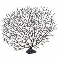 Коралл искусственный "Горгонария" в зоомагазине Лепшы Сябар