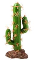Laguna Растение Цереус в зоомагазине Лепшы Сябар