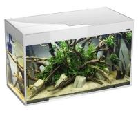 Аквариум Glossy 100 белый, 215 л в зоомагазине Лепшы Сябар
