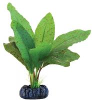 Растение шелковое "Эхинодорус крапчатый" в зоомагазине Лепшы Сябар