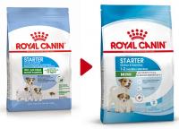 Royal Canin Mini Starter в зоомагазине Лепшы Сябар