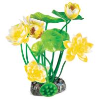 Растение "Нимфея" в зоомагазине Лепшы Сябар