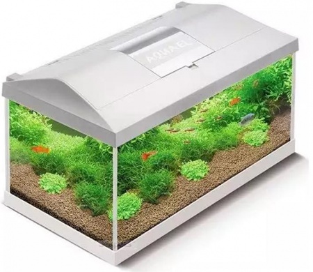 Aquael Аквариум Leddy 75 белый 75x35x40 см., прямоугольный, 105 л в зоомагазине Лепшы Сябар